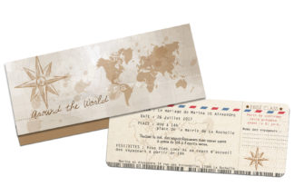 Echantillon faire-part billet d'avion ref 462